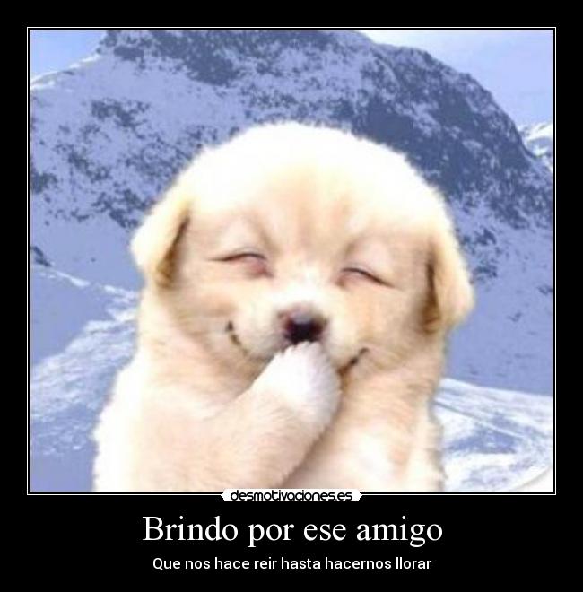 Brindo por ese amigo -