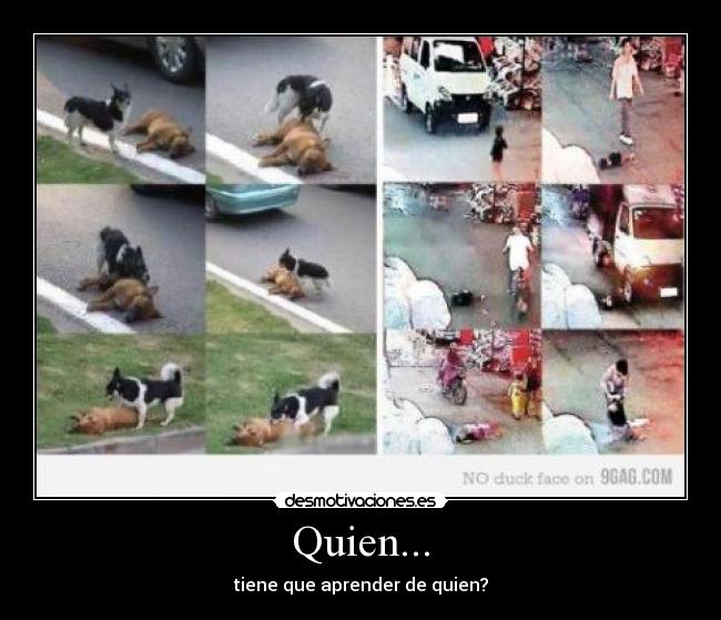 Quien... - 
