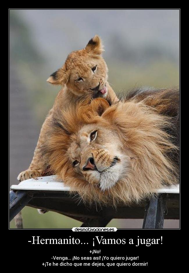 carteles quedado forever alone punto clanwolf coma coma inventado punto desmotivaciones desmotivaciones