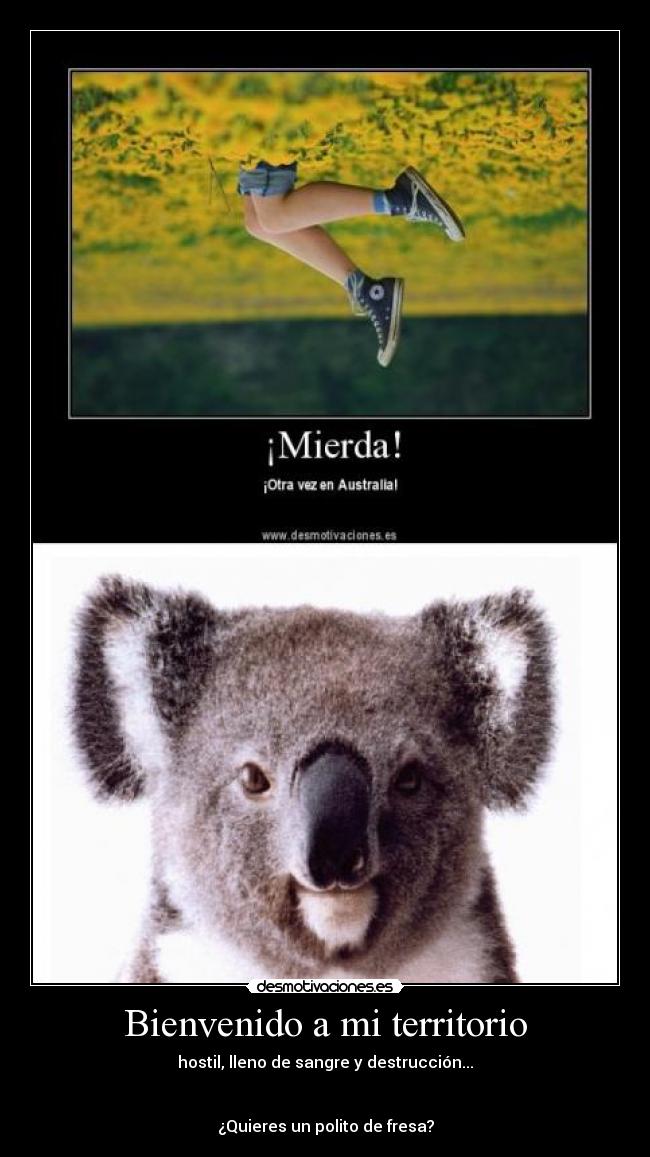 carteles kolangi for president clanng desmotivaciones