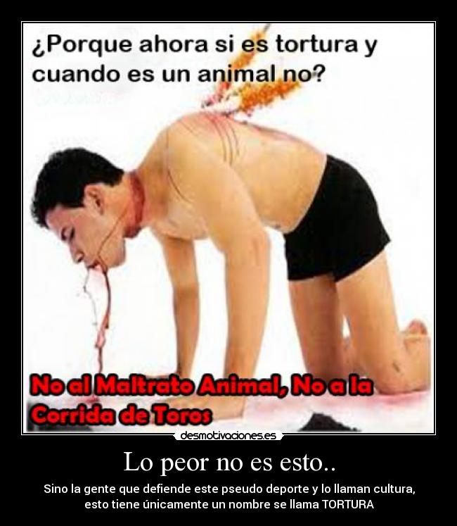 carteles maltrato animal corrida toros toreros gays desmotivaciones