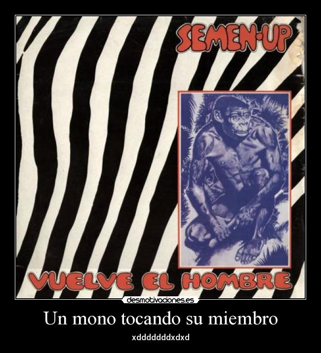 Un mono tocando su miembro - xdddddddxdxd