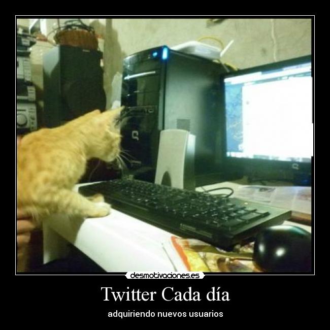 Twitter Cada día -