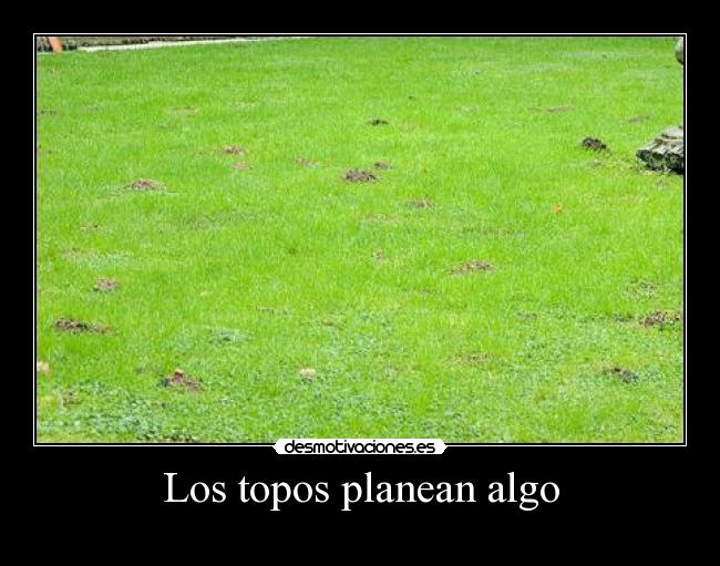 Los topos planean algo -