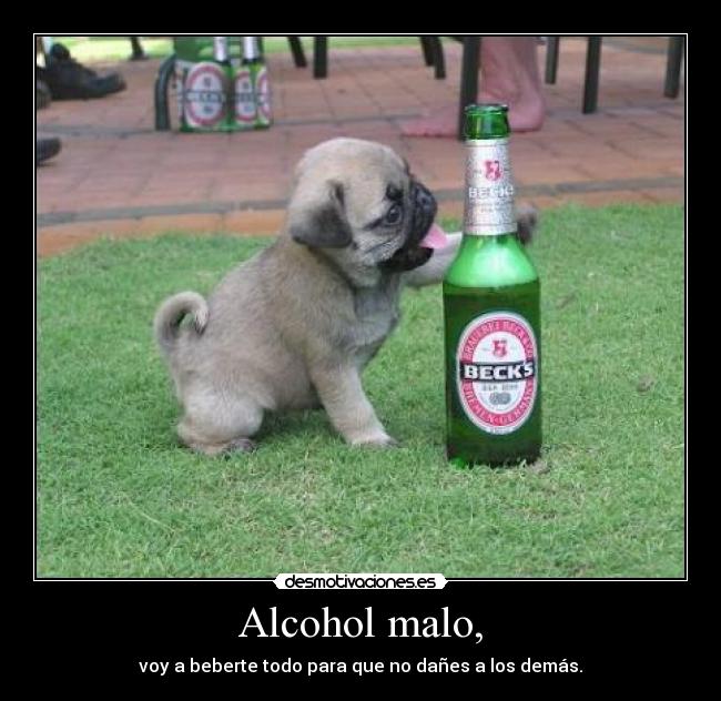 Alcohol malo, -