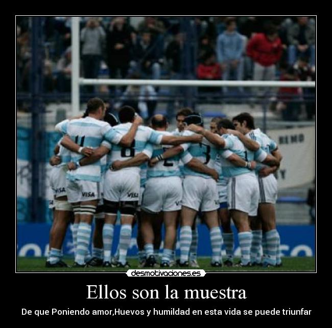 carteles pumas-rugby-un-deporte-hermoso-argentina-para-desmo desmotivaciones