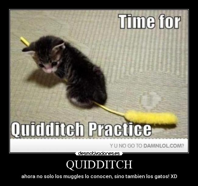 carteles quidditch desmotivaciones