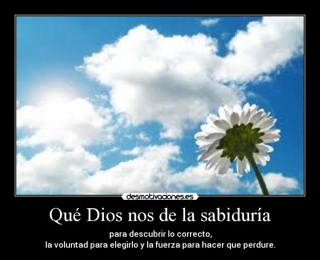 Qué Dios nos de la sabiduría -
