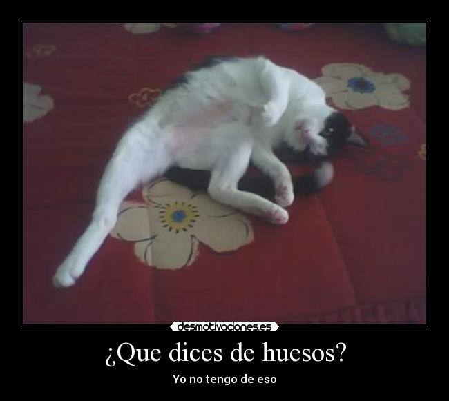 ¿Que dices de huesos? - Yo no tengo de eso