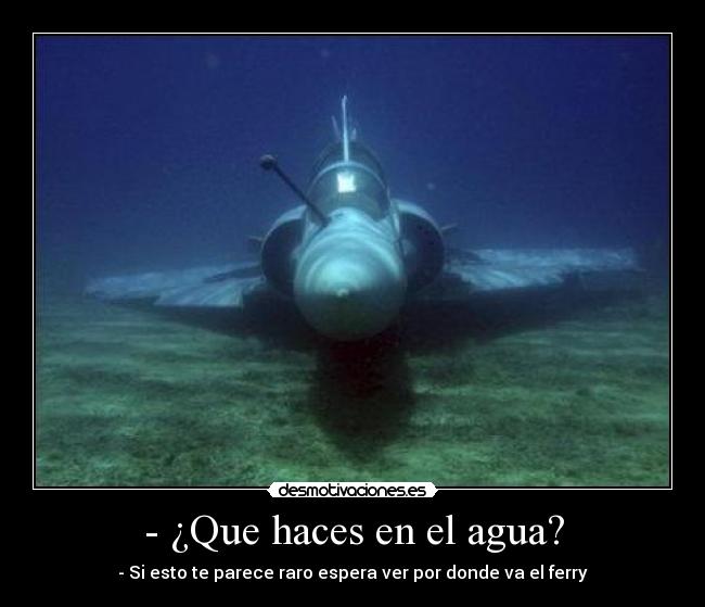 - ¿Que haces en el agua? - - Si esto te parece raro espera ver por donde va el ferry