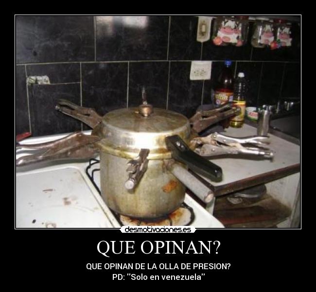 QUE OPINAN? - 