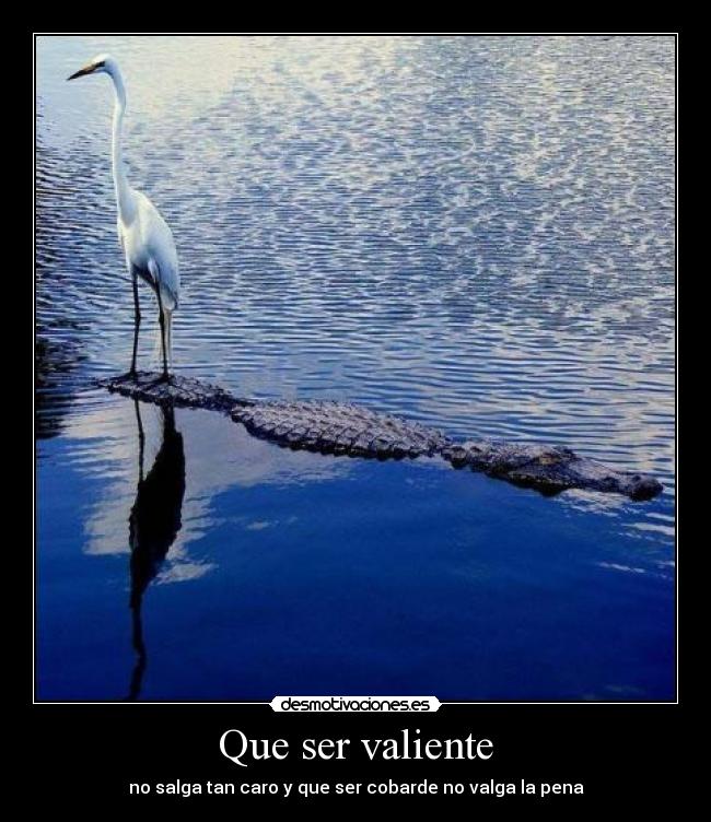 Que ser valiente - no salga tan caro y que ser cobarde no valga la pena