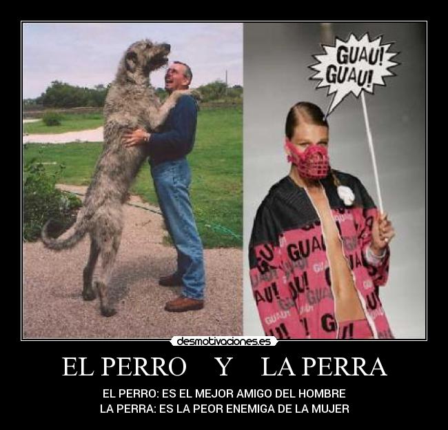 EL PERRO Y LA PERRA -