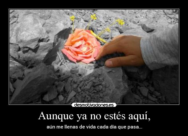Aunque ya no estés aquí, - aún me llenas de vida cada día que pasa...