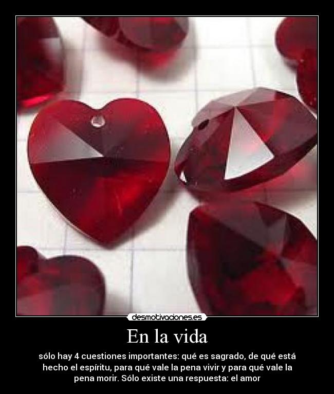 carteles vida irenelaquevayviene desmotivaciones