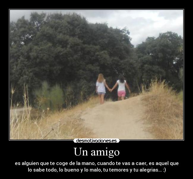 carteles amigoo desmotivaciones