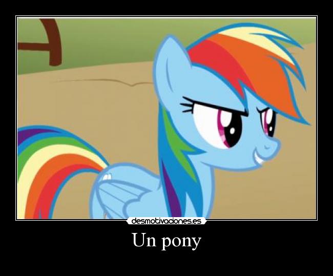 Un pony -