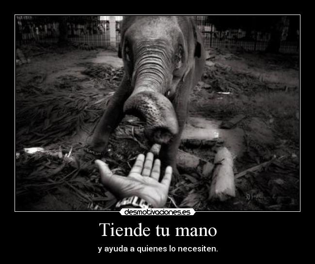 Tiende tu mano - 