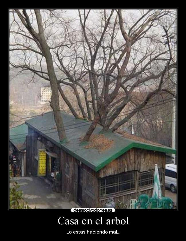 Casa en el arbol - Lo estas haciendo mal...