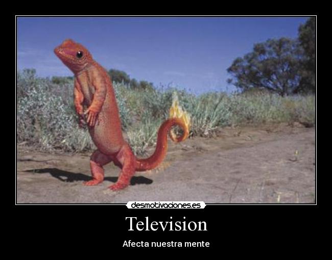 Television - 
