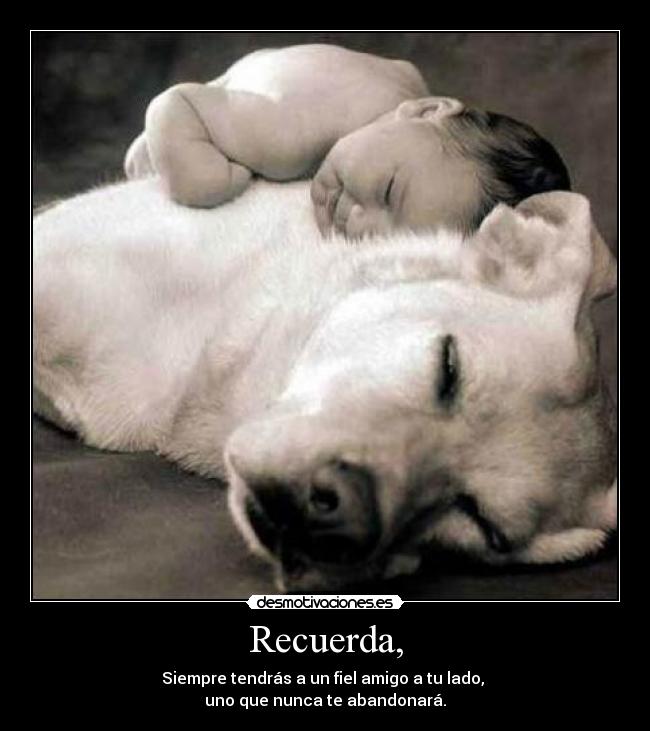 Recuerda, - Siempre tendrás a un fiel amigo a tu lado, 
uno que nunca te abandonará.