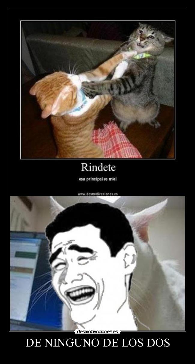 DE NINGUNO DE LOS DOS - 