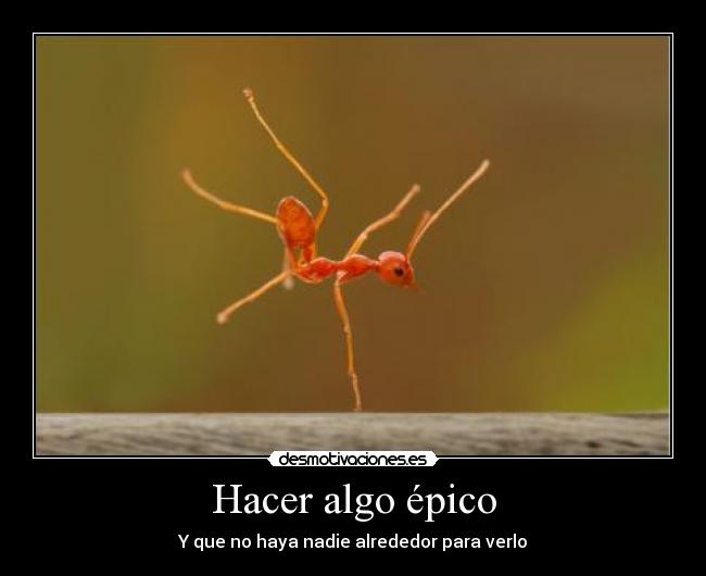 Hacer algo épico - 