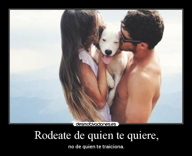 carteles kjnrfejk desmotivaciones