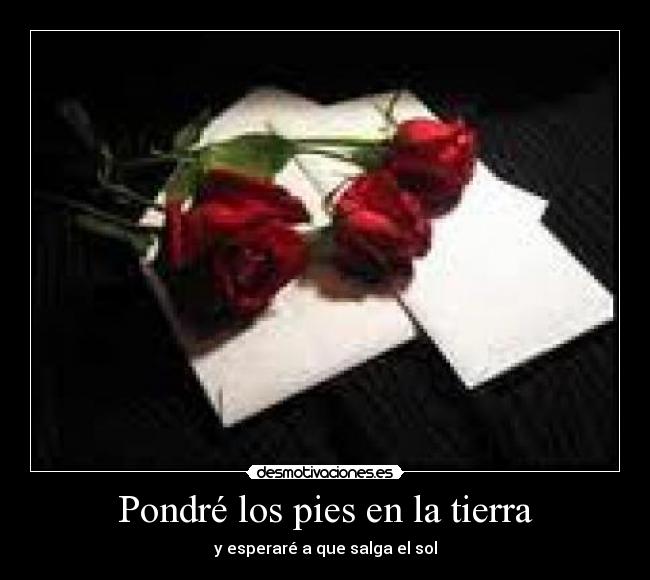 Pondré los pies en la tierra -