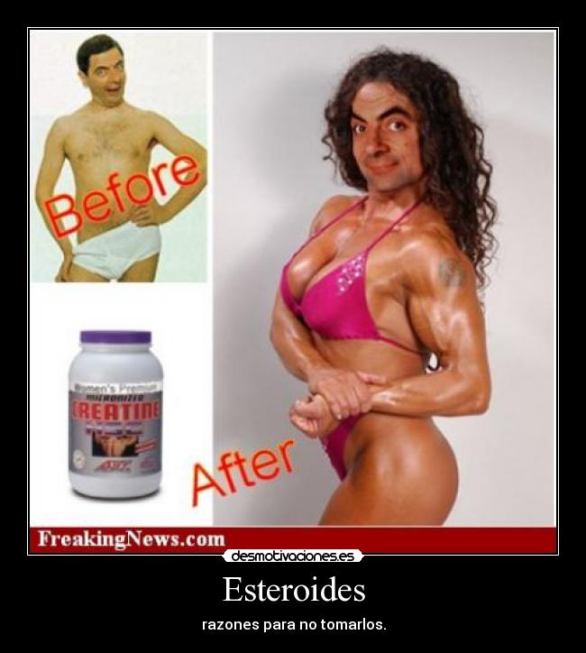 Esteroides - 