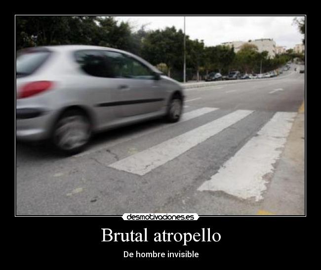 Brutal atropello - 