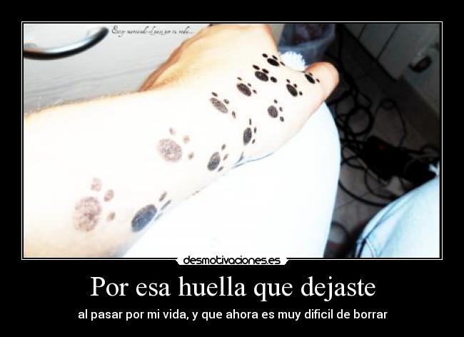 Por esa huella que dejaste -