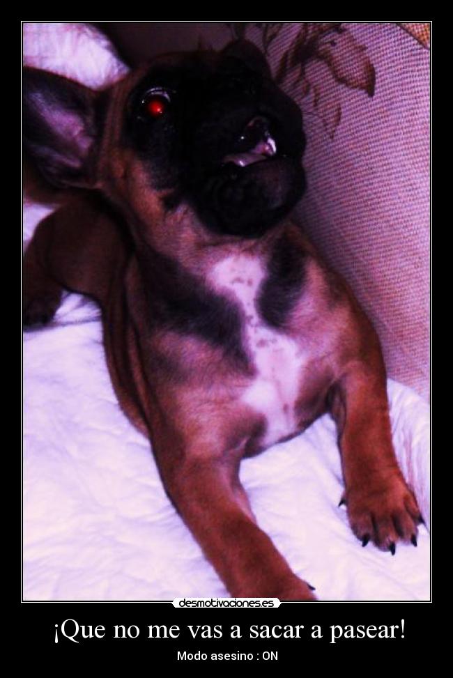 ¡Que no me vas a sacar a pasear! - Modo asesino : ON