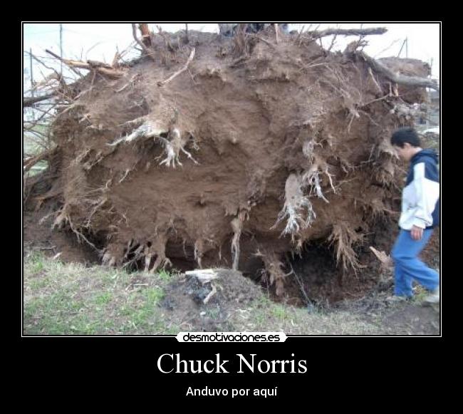Chuck Norris - Anduvo por aquí