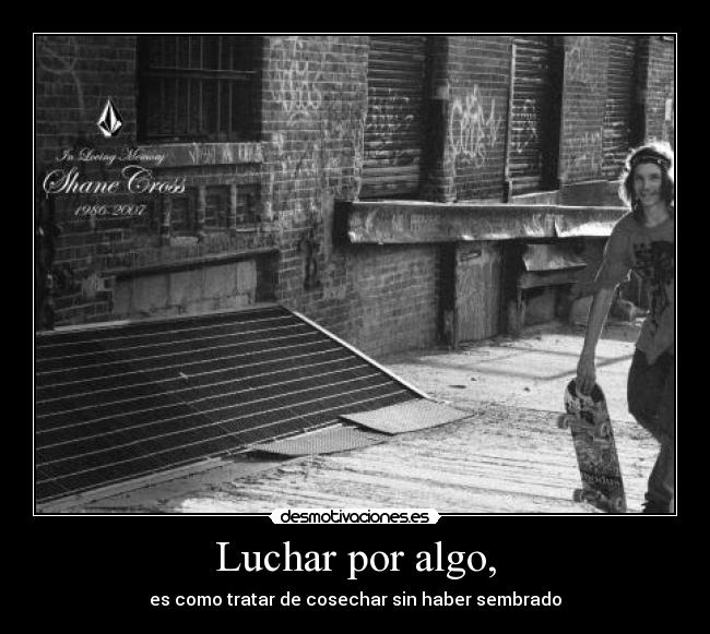 Luchar por algo, - es como tratar de cosechar sin haber sembrado