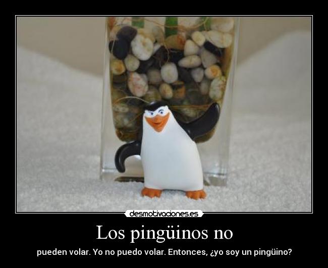 Los pingüinos no -
