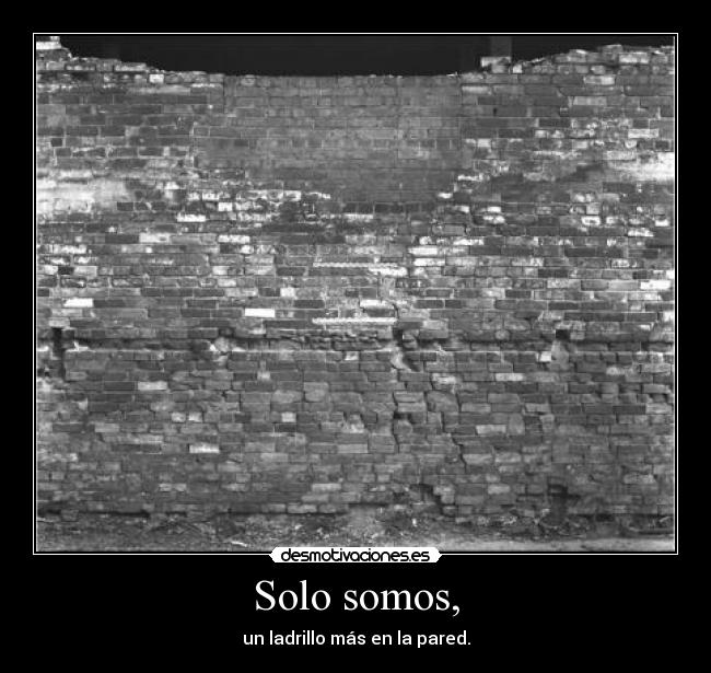 Solo somos, -