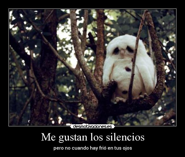 Me gustan los silencios - 