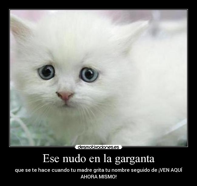 Ese nudo en la garganta -