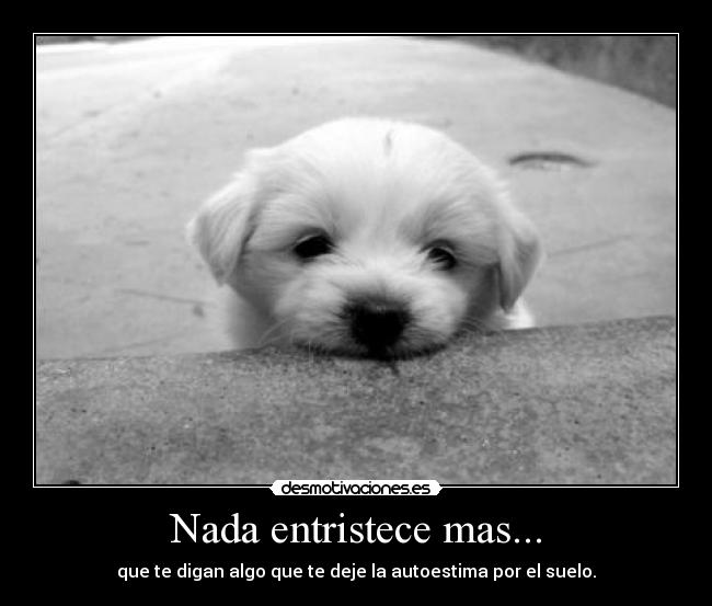 carteles nooo desmotivaciones