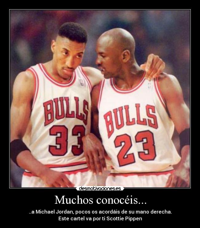 carteles scottie pippen desmotivaciones