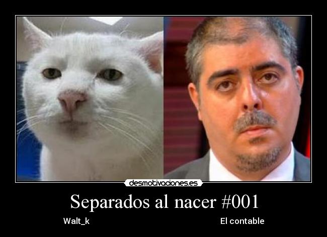 Separados al nacer #001 - 