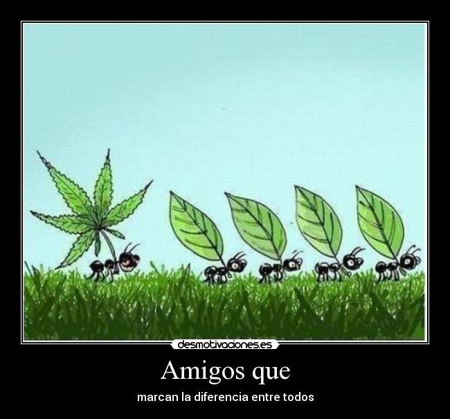 Amigos que - marcan la diferencia entre todos
