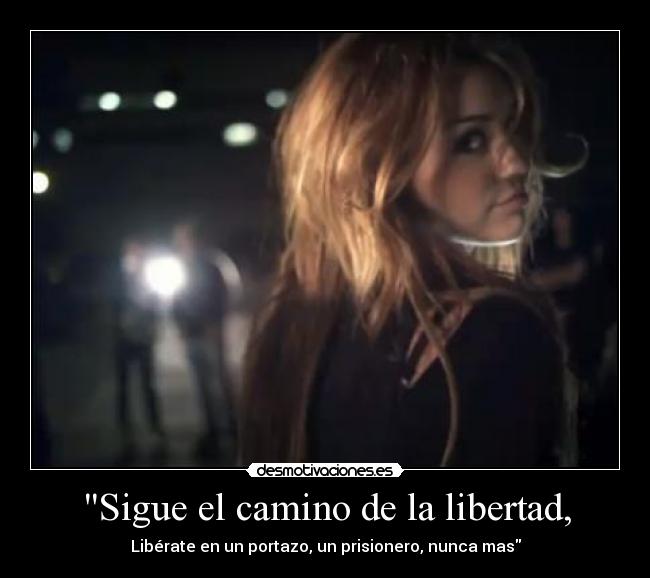 carteles libertad liberty walk desmotivaciones