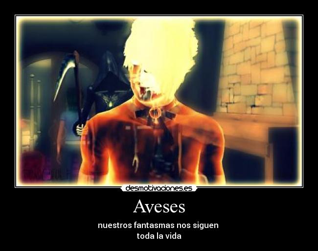 Aveses - 