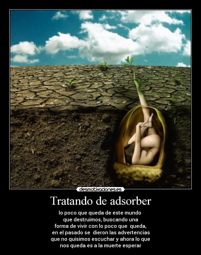 Tratando de adsorber - lo poco que queda de este mundo
que destruimos, buscando una
forma de vivir con lo poco que queda,
en el pasado se dieron las advertencias
que no quisimos escuchar y ahora lo que
nos queda es a la muerte esperar