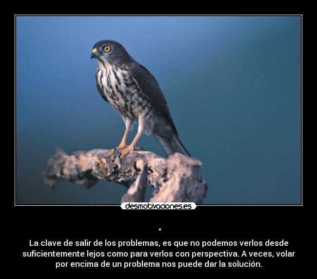 . - La clave de salir de los problemas, es que no podemos verlos desde
suficientemente lejos como para verlos con perspectiva. A veces, volar
por encima de un problema nos puede dar la solución.