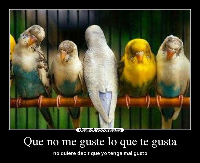 Que no me guste lo que te gusta - no quiere decir que yo tenga mal gusto