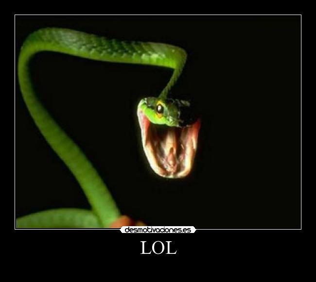 LOL -