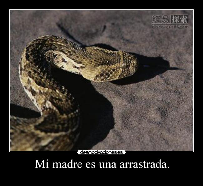 Mi madre es una arrastrada. -